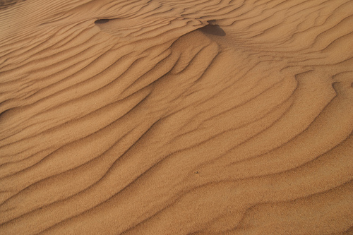 "sand" by PredictorX